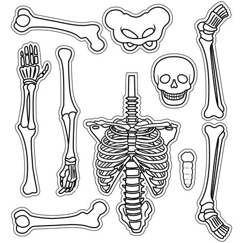 Skeleton Printable Free