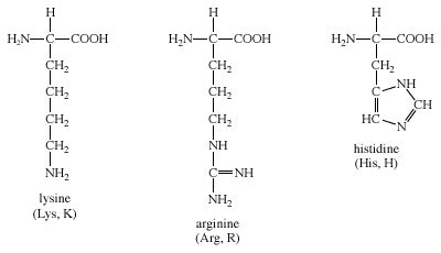 Aspartic Acid R Group