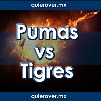 Pumas vs Tigres 01/09/2024 Precio de Boletos - Quierover.mx