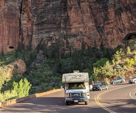 The Traveler's Guide to Zion National Park Wildlife