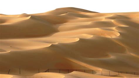 Liwa Oasis in Abu Dhabi, Arab ~ Must See how To?