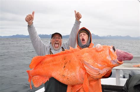 Rockfish Fishing Alaska | Rockfishing Alaska | Rock Fishing Alaska