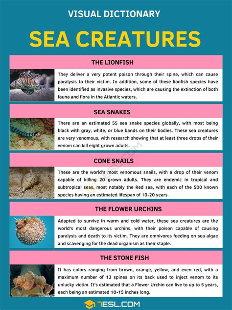 List of Sea Creatures with Facts and Pictures • 7ESL