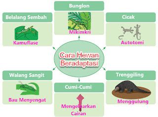 Cara Hewan Menyesuaikan Diri Dengan Lingkungan | Liang Solusi