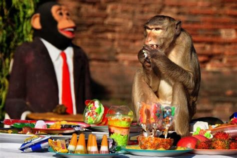 Monkey Buffet Festival :: Lopburi, Thailand - Most Interesting Destinations