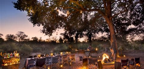 Lodge Review | RockFig Safari Lodge, Timbavati Game Reserve – Discover ...