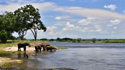 Zambezi National Park Zimbabwe at the doorstep of Vic Falls