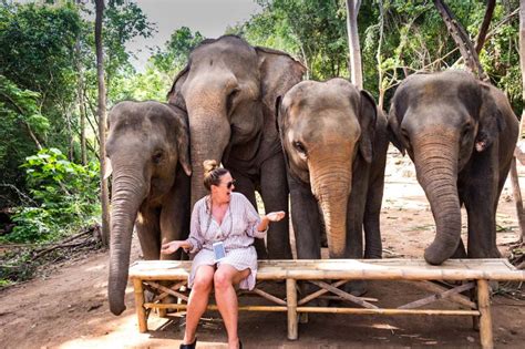 Samui Elephant Haven - Visiting a true elephant sanctuary in Koh Samui.