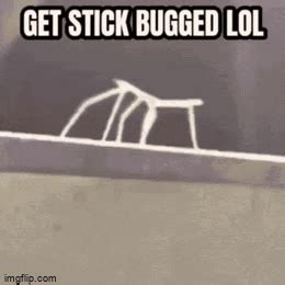 Stick bug - Imgflip