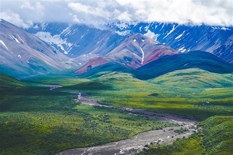 Plan Your Visit in Denali National Park 2025 Update — Handpicked Alaska