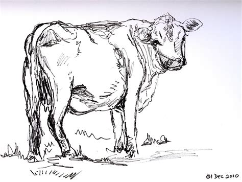 Frabjous Art Musings: Cow (Sketch 78)