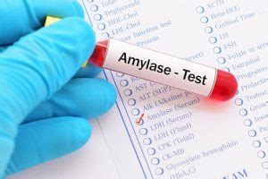 Amylase sources, health risks