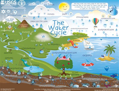 Interactive Water Cycle Diagram for Kids (Advanced)