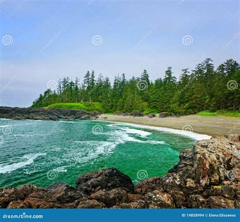 Coast Of Pacific Ocean In Canada Stock Images - Image: 19858994