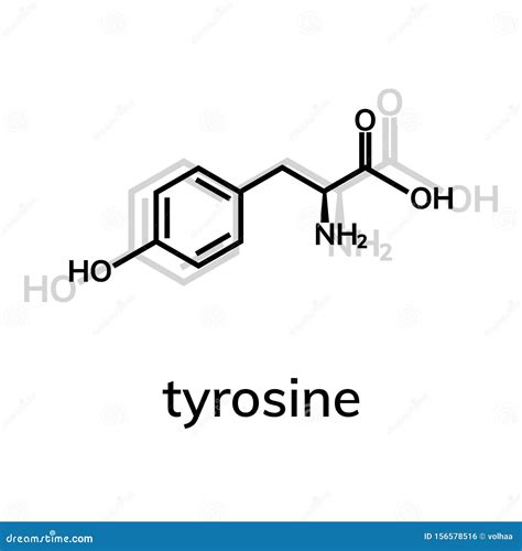 Tyrosine Tyr amino acid stock vector. Illustration of chemistry - 156578516