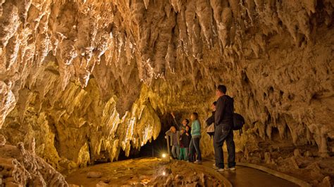 Auckland Waitomo Glowworm Caves