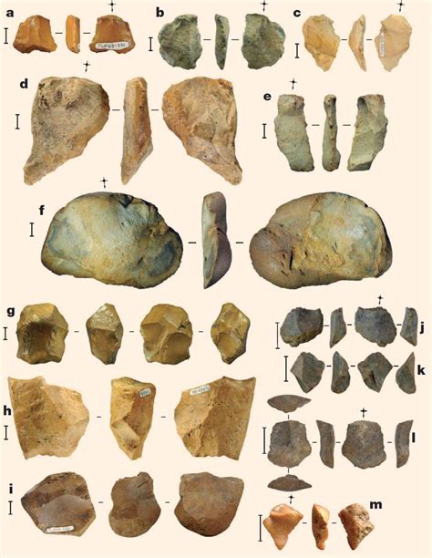 118,000-year-old stone tools unearthed on Indonesian Island of Sulawesi ...