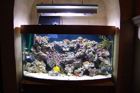 Live Rock Aquascape / Reef Tank Aquascapes 15 Stunning Design Tips The ...