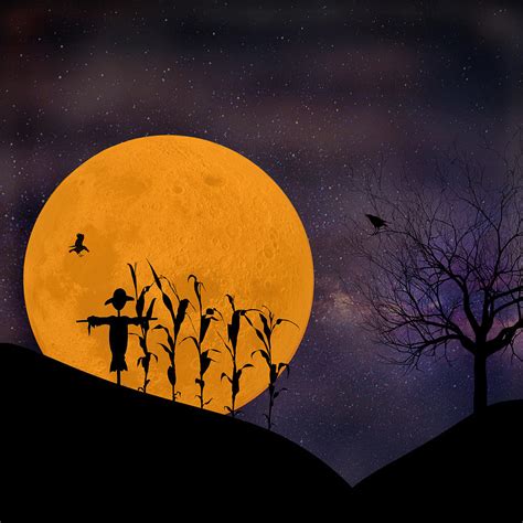 Harvest Moon Digital Art by Tim Palmer - Fine Art America