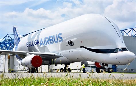 Wallpaper the plane, the plane, Cargo, Airbus, Beluga, A300, Airbus ...