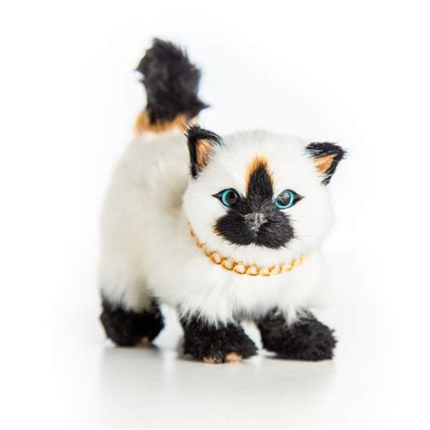 American Girl Doll Pet Siamese Kitty Cat - The Doll Boutique