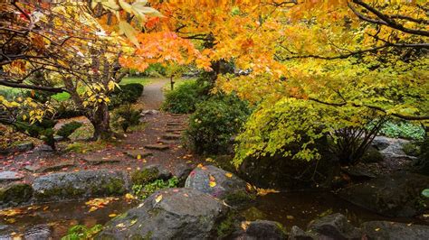 Guide to Fall Foliage in Oregon - Travel Oregon