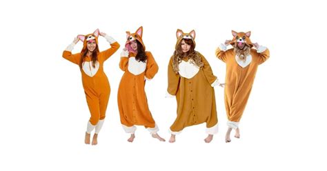 The Best Corgi Costumes For Adults