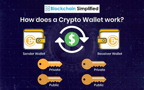 How Many Types Of Crypto Wallets Are There? : 5 Types Of Cryptocurrency ...