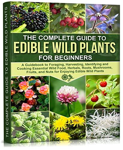 Identifying Wild Edible Plants