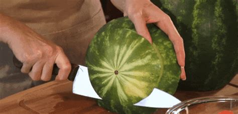 Watermelon GIF - Find & Share on GIPHY