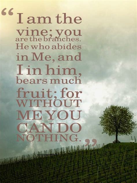 Scripture Quotes Bible-I am the vine; you are the branches. He who ...