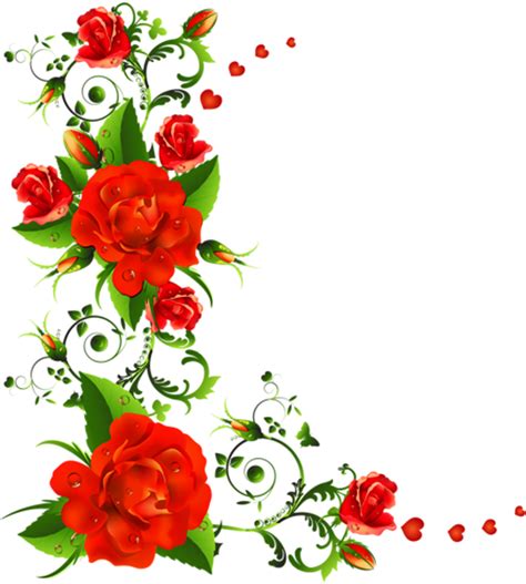 Pin on boda | Vector flowers, Flower design images, Flower border png