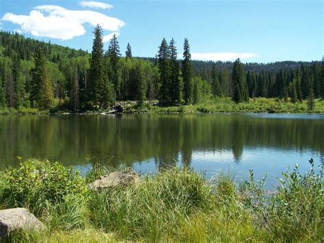 One of the Mesa lakes on the Grand Mesa byway drive. Loved going ...