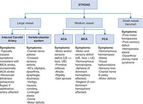 Anterior Cerebral Artery Stroke