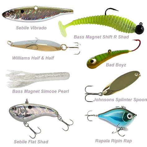 31+ Best Trout Lures For Lakes most complete - Arpis