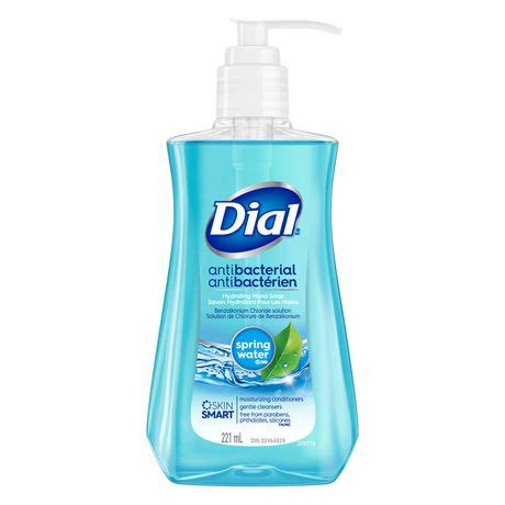 Dial Antibacterial Liquid Hand Soap, Spring Water 221mL | Walmart Canada