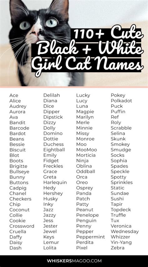 110+ Cute Black and White Cat Names for Girl Cats - Whiskers Magoo