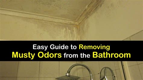 Musty Smells in the Bathroom - Clever Ideas for Odor Removal