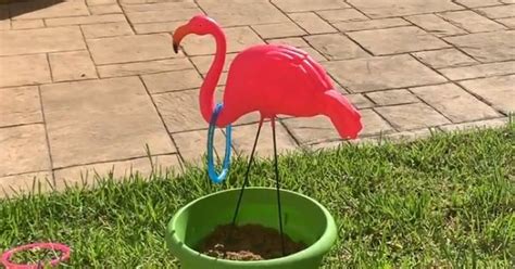 Create Outdoor Excitement with Summer DIY Games | Hometalk