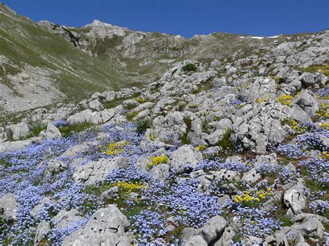 Bjelasnica Mountain Photo by Lav Nikolajevič | 8:51 pm 6 Jun 2014