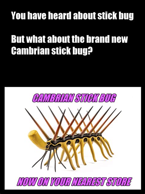 BRAND NEW STICK BUG : r/cambrianmemes