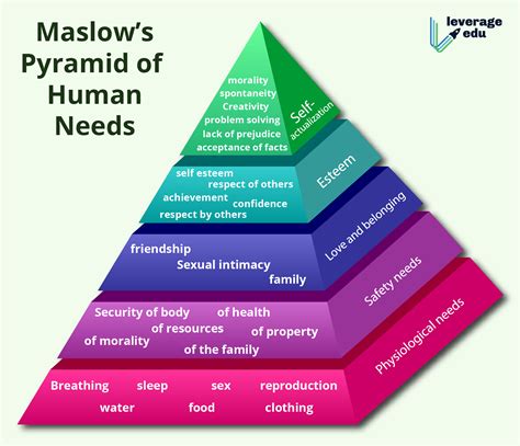 Maslow's Hierarchy of Needs - Leverage Edu