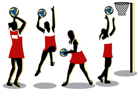 Netball Net Vector Art, Icons, and Graphics for Free Download