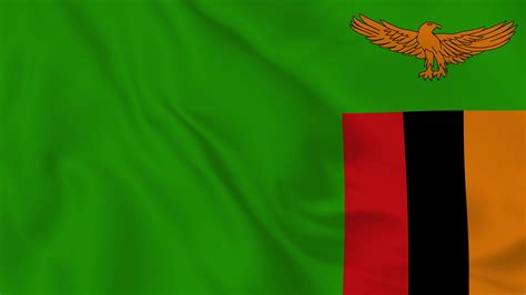 Zambia Flag Stock Video Footage for Free Download