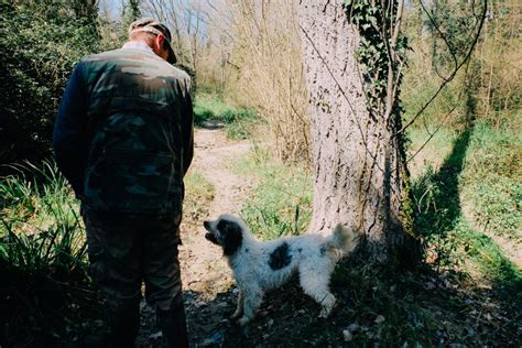 Truffle Hunting in Tuscany - An American in Rome