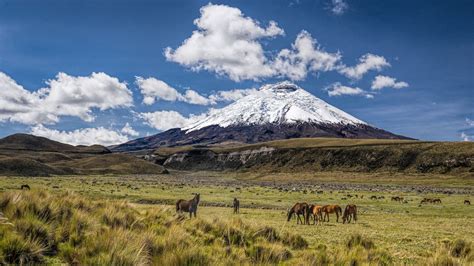 Cotopaxi National Park, Cotopaxi, Ecuador | National parks, Cool places ...