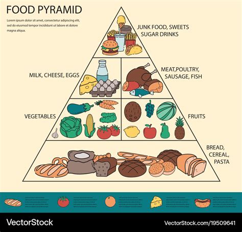 Food pyramid healthy eating infographic healthy Vector Image