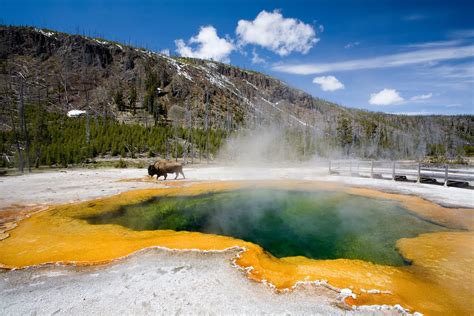 Visiting Yellowstone National Park