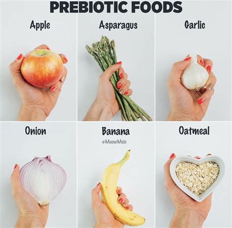 Eat More Prebiotic Foods for a Happier, Healthier Gut - MeowMeix