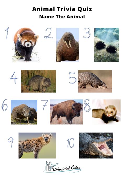 50 Animal Trivia Questions To Test Your Knowledge (2021)